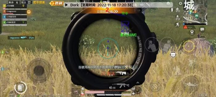 和平精英ios科技 - 苹果端稳定外挂工具