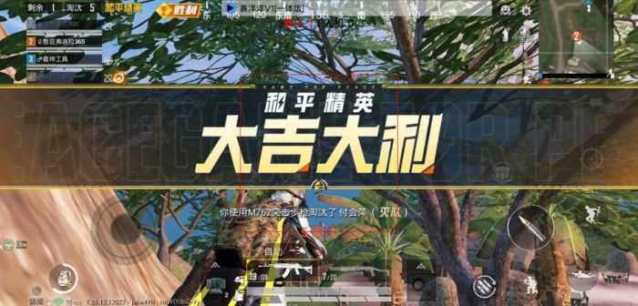 和平精英改文件十字架 - 精准压枪与瞄准辅助合集